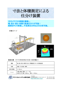 寸法と体積測定による 仕分け装置