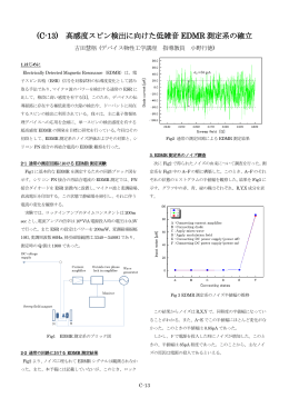 (C-13) 高感度スピン検出に向けた低雑音 EDMR 測定系の確立