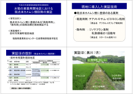 現地に導入した実証技術 実証ほ（黒川 7月）