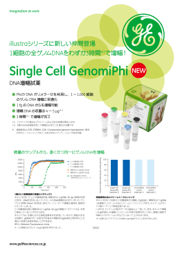 Single Cell GenomiPhi Flyer
