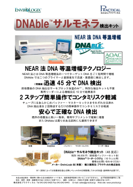 等温増幅PCR法 DNAble サルモネラ検出キット