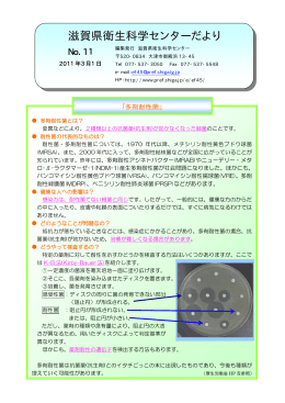 多剤耐性菌（PDF：23KB）
