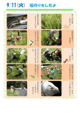 稲 刈 り 用 の 鎌 は ギ ザ ギ ザ し て い る よ 。 こ ん な に 稲 が 実 り ま