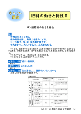 リン酸肥料の働きと特性肥料