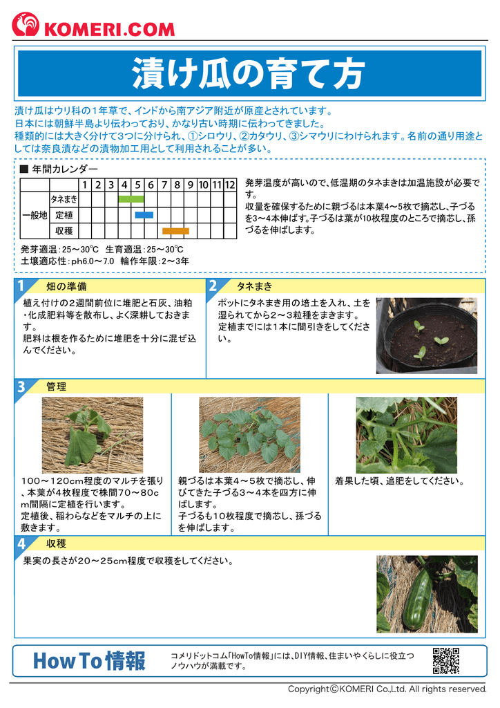 漬け瓜の育て方 コメリドットコム