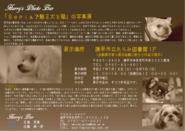 「Sepiaで魅る犬と猫」の写真展(～8/9)