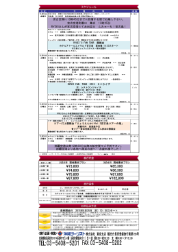 【1113案】RYOEI FAN TOUR 2015 IN宮古島行程見積