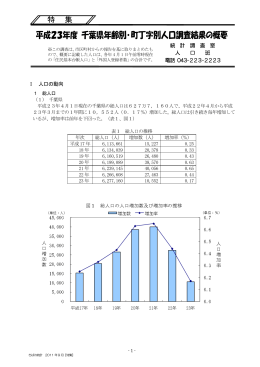 『平成23年度千葉県年齢別・町丁字別人口調査結果の概要』（PDF