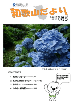 平成25年6月号
