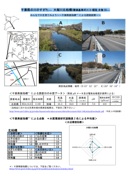 千葉県の川のすがた― 大堀川北柏橋 ― 北柏橋