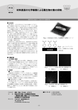 材料表面の化学修飾による微生物付着の抑制