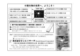 付着生物の世界へ、ようこそ！