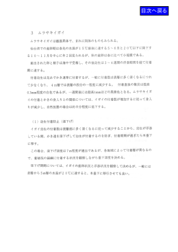 ムラサキイ ガイ は雌雄異体で、 まれに同体のものもみられるa
