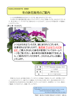 冬季鉢花販売Vol2 - 秋田県立西目高等学校
