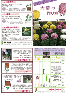 PDFダウンロード