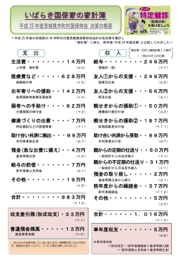 いばらき国保家の家計簿（H25決算）（PDF：164KB）