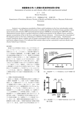 実験動物を用いた酢酸の肥満抑制効果の評価