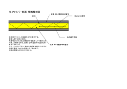 光ファイバー断面・簡略模式図