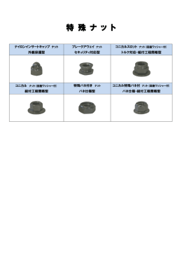 ［PDF］特殊ナットの商品一覧表はこちら