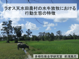 ラオス天水田農村の水牛放牧における 行動生態の特徴