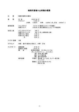 竜ヶ山球場の概要・整備状況