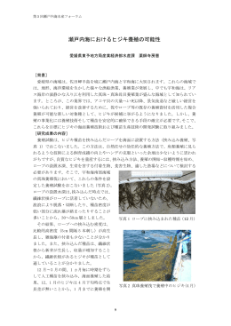 瀬戸内海におけるヒジキ養殖の可能性