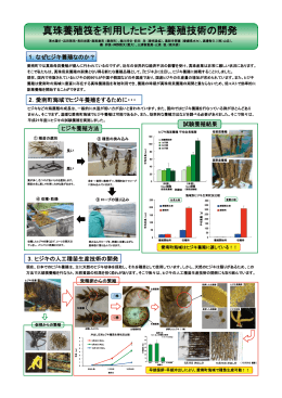 真珠養殖&macr;を利用したヒジキ養殖技術の開発