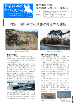 蒲生干潟が受けた被害と再生の可能性