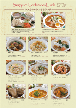 Singapore Combination Lunch
