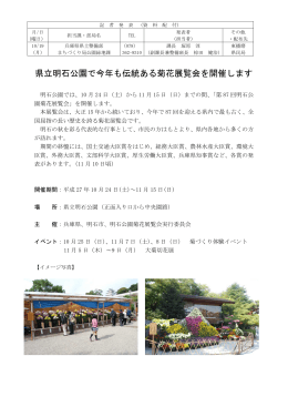 県立明石公園で今年も伝統ある菊花展覧会を開催します