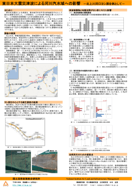東日本大震災津波による河川汽水域への影響 －北上川河口ヨシ原を例