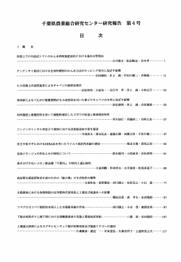 砂質土での半促成トマトのかん水同時施肥栽培における養水分管理法