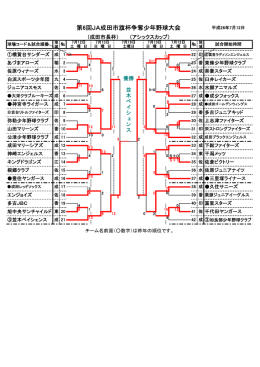 第6回JA成田市旗杯争奪少年野球大会