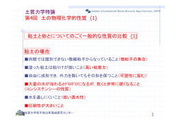 土質力学特論 第4回 土の物理化学的性質 (1) 粘土と砂とについてのごく
