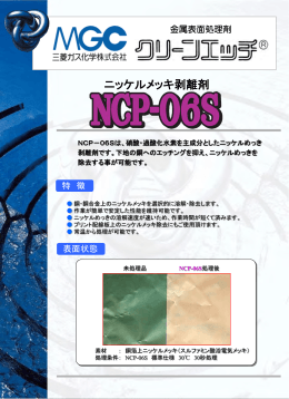 NCP-06