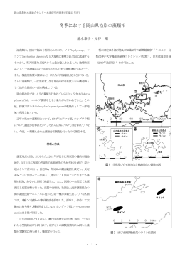 冬季における岡山県沿岸の藻類相 [PDFファイル／4.34MB]
