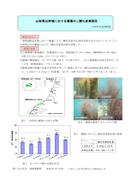 山形県沿岸域における藻場の二酸化炭素固定