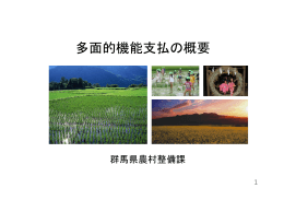 多面的機能支払の概要 - 群馬県水土里保全協議会