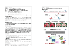 脳梗塞急性期の治療法