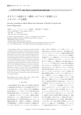 ゼオライト結晶のナノ細孔へのアルカリ金属圧入と エキゾチックな磁性