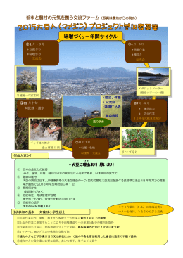 味噌づくり－年間サイクル - いいだ自然エネルギーネットワーク山法師