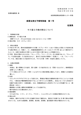 病害虫発生予察特殊報 第1号 佐賀県 キク茎えそ病の発生について
