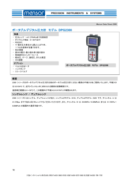 ポータブルデジタル圧力計 モデル DPG2300