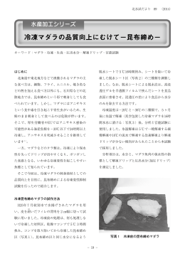 冷凍マダラの品質向上にむけて－昆布締め－ （PDF：1.11MB）