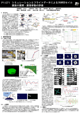 宮崎康行（日大），白澤洋次（東大・院），坂本啓（東工大），奥泉信克， 森