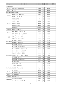 2013年 Winter Sale
