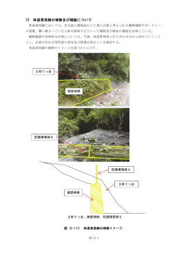 12 林道東俣線の補修及び舗装について