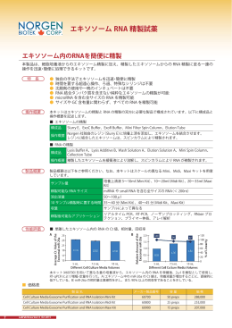 エキソソーム RNA 精製試薬