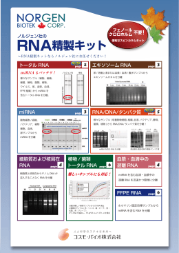 RNA精製キット