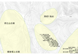 墳 号墳 雨乞山古墳 観音塚上古墳 祭祀1地点